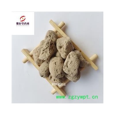 海浮石 海浮石 产地 广东省 矿石类