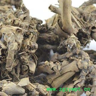 苦良姜 老虎姜 正品保证质量7天无理由退货退款 华安堂图4