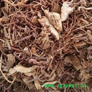 紫菀 统 安顺药业 专注品质 产地 安徽省图2