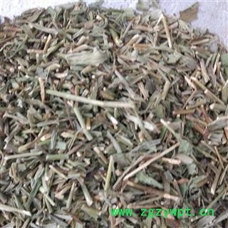 柴胡苗 柴胡苗统货 产地 内蒙古自治区 华美中药 产地直销 重在品质图2