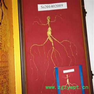 人参 移山参礼盒 产地 吉林省 华美中药 产地直销 重在品质图2