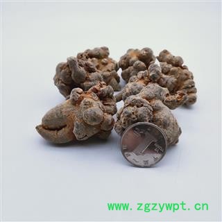 三七 三七20头 产地 云南省 华美中药图4