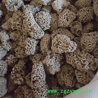 新辉药业正品石花  海浮石  海石花图2