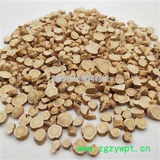 黄芪 黄芪圆片0.6筛产地 甘肃 华美中药 产地直销 重在品质图4