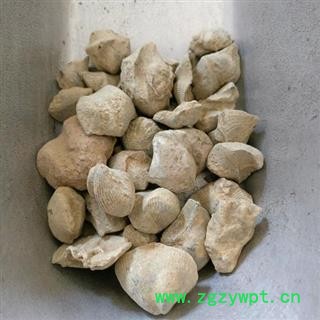 石燕 石燕子正品保证质量7天无理由退货退款 中药材批发 丽丽药业图4