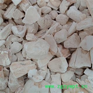 龙骨 龙骨块正品保证质量7天无理由退货退款 中药材批发 丽丽药业图3