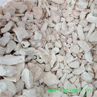 龙骨 龙骨块正品保证质量7天无理由退货退款 中药材批发 丽丽药业图4