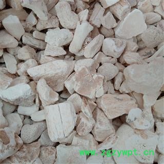 龙骨 龙骨块正品保证质量7天无理由退货退款 中药材批发 丽丽药业图2