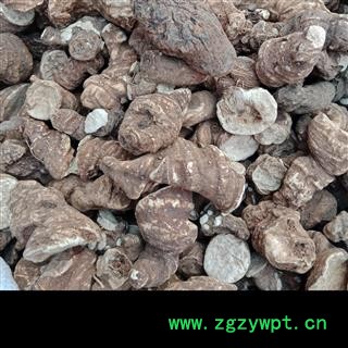 重楼个子中选 云南重楼个子 中选货正品保证质量7天无理由退货退款 中药材批发 丽丽药业图2