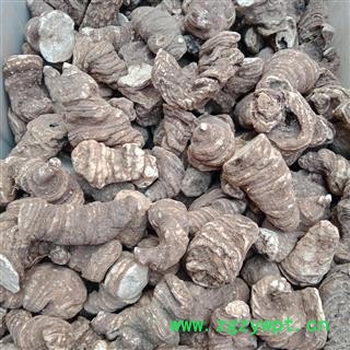 重楼个子中选 云南重楼个子 中选货正品保证质量7天无理由退货退款 中药材批发 丽丽药业图4