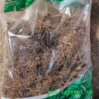 蜘蛛香 缬草根 马蹄香 土细辛 养心莲 养血莲 臭药 乌参 老虎七图2