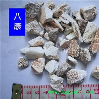 龙骨 01块 产地 山西省图2