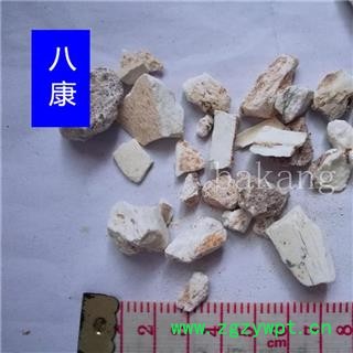 龙骨 01块 产地 山西省图3