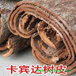 卡宾达树皮 安哥拉卡宾达树皮图2