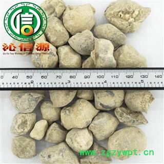 【满包邮】石燕个子统货散装四川产地直供石燕子 燕子石 大石燕沁信源中药材批发图2