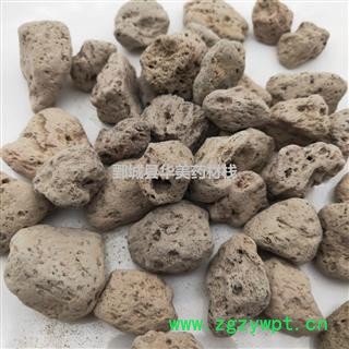 海浮石1000克【至臻华美】中药材批发供应【海浮石】海浮石图3