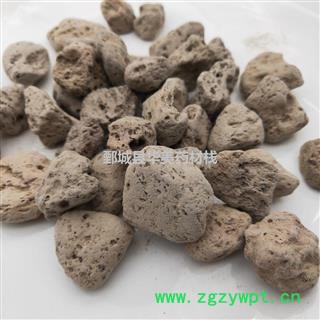 海浮石1000克【至臻华美】中药材批发供应【海浮石】海浮石图4