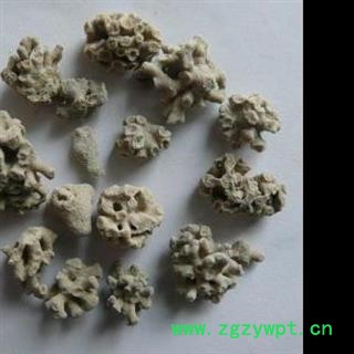 海石花 海浮石花 海藻石 正品保证质量7天无理由退货退款 华安堂图4