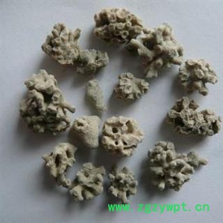 海石花 海浮石花 海藻石 正品保证质量7天无理由退货退款 华安堂图2