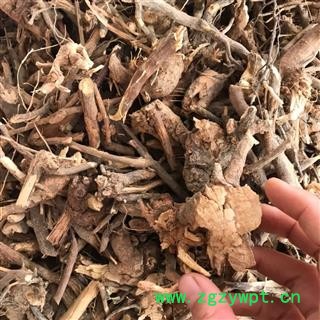 山白芷 羊耳菊 毛柴胡 白牛胆 正品保证质量 丽丽药业图2