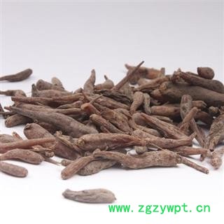 双肾参 天鹅抱蛋 双肾子 鸡卵参 双黄参 对对参 玉凤花根图2