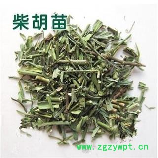 柴胡苗 正品保证质量7天无理由退货退款 华安堂图4