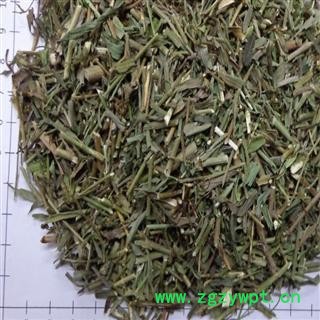 柴胡苗 正品保证质量7天无理由退货退款 华安堂图2