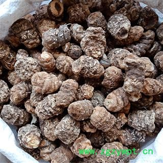 重楼个 国产重楼个 正品保证质量7天无理由退货退款 中药材批发 丽丽药业图3