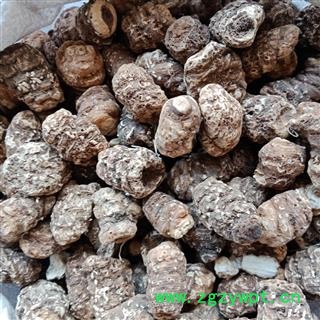 重楼个 国产重楼个 正品保证质量7天无理由退货退款 中药材批发 丽丽药业图2