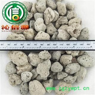 【满包邮】浮海石个子统货散装广东产地直供水花海石 水泡石 海浮石 浮水石沁信源中药材批发图2