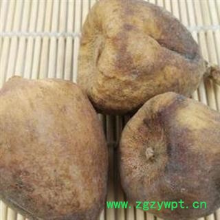 木馒头 正品保证质量7天无理由退货退款图3