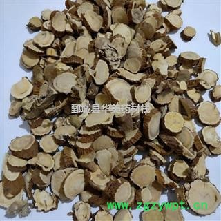 苦参@【华美中药】中药材批发供应【苦参选货】 修改图2