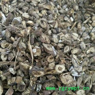 白头翁 统 产地 黑龙江 华美中药 产地直销 重在品质图2