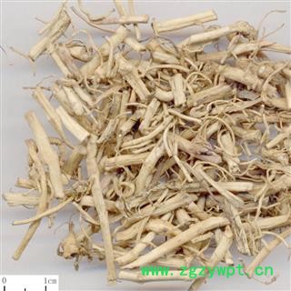 白前 统货 产地 湖北省 华美中药 产地直销 重在品质图2