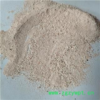 龙骨 沫子 产地 山西省晋城市图3