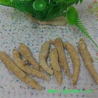 西洋参 西洋参长支 产地 吉林 华美中药 产地直销 重在品质图4