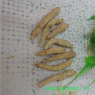 西洋参 西洋参长支 产地 吉林 华美中药 产地直销 重在品质图2