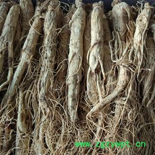 人参 生晒参60支 产地 吉林省 华美中药 产地直销 重在品质图2