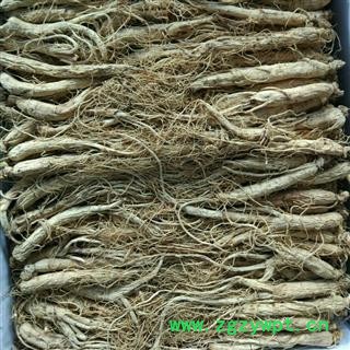 人参 生晒参60支 产地 吉林省 华美中药 产地直销 重在品质图4