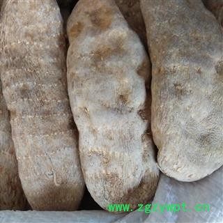 天麻 家种天麻一级24支 1公斤不超20支 产地 云南 华美中药 产地直销 重在品质图3