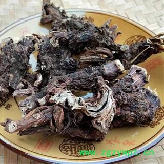 麻布七 穿心莲 破布七 九连环 龙骨七 正品保证质量 华安堂图3