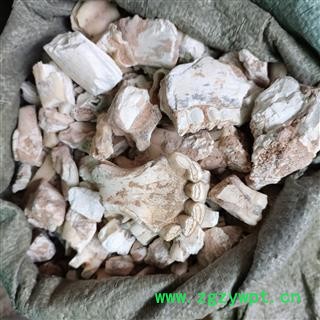 龙齿正品保证质量 实图拍照 看得见的品质 优质货 华安堂图3