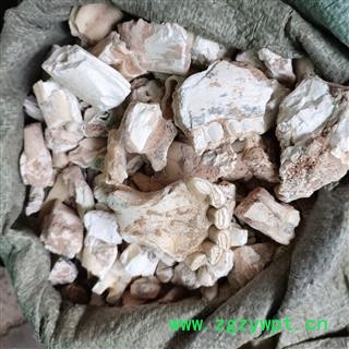 龙齿正品保证质量 实图拍照 看得见的品质 优质货 华安堂图2