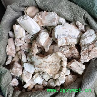 龙齿正品保证质量 实图拍照 看得见的品质 优质货 华安堂图4