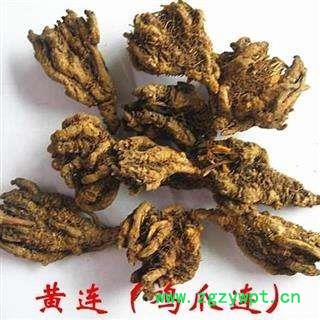 黄连 鸡爪连 统货净500克正品保证质量7天无理由退货退款图4