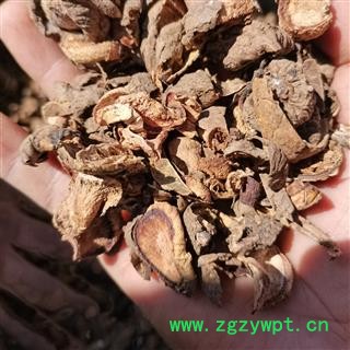 乌灵参 鸡蛋参 价格 联系客服 别明金线吊壶芦、山鸡蛋、牛尾参、补血草、鸡嗉子、鸡腰子 华安堂图2
