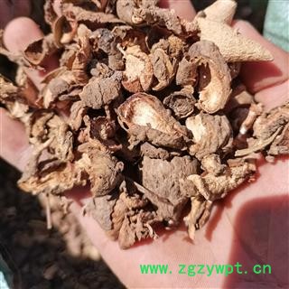 乌灵参 鸡蛋参 价格 联系客服 别明金线吊壶芦、山鸡蛋、牛尾参、补血草、鸡嗉子、鸡腰子 华安堂图3
