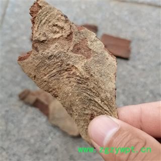 棕树皮栟榈木皮、棕毛、棕树皮毛、棕皮 正品保证质量7天无理由退货退款 华安堂图3