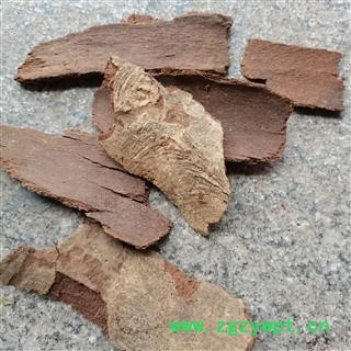 棕树皮栟榈木皮、棕毛、棕树皮毛、棕皮 正品保证质量7天无理由退货退款 华安堂图4