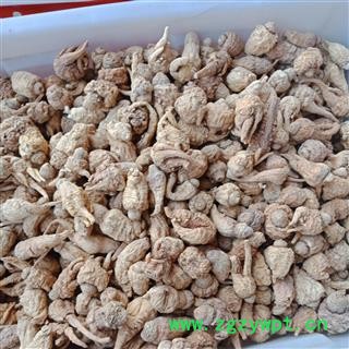 丽丽药业 黄玛卡 中药材批发 丽江黄玛卡黄玛卡个子正品保证实图拍照7天无理由退货退款图3